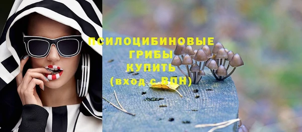 бутират Мегион