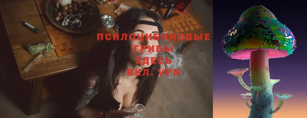 шишки Михайловск