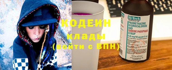 шишки Михайловск
