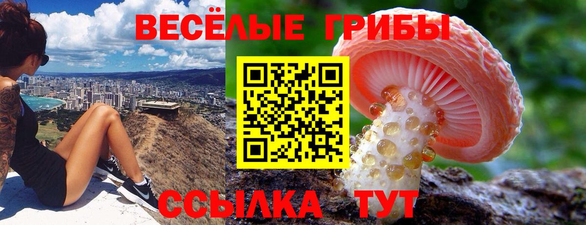 Галлюциногенные грибы MAGIC MUSHROOMS  Вход с VPN  Костомукша 