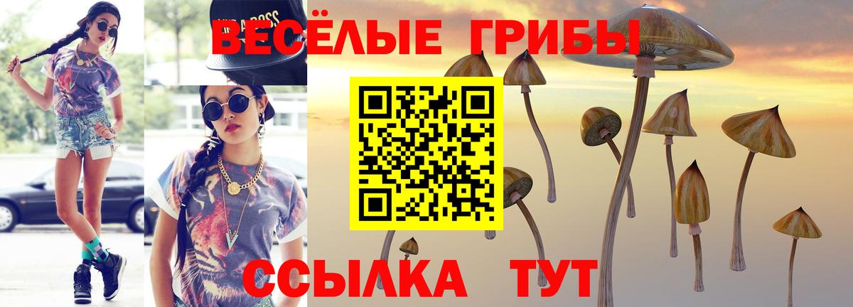 Псилоцибиновые грибы мухоморы Костомукша