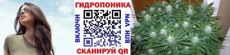 закладки  kraken сайт  Каннабис SATIVA & INDICA  Костомукша 